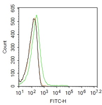 Ly6a Rabbit Polyclonal Antibod