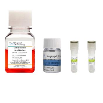 内皮细胞培养基（ECM）