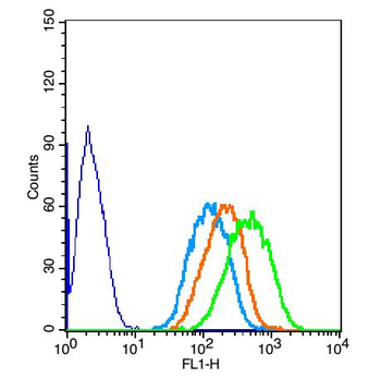 PARK7/DJ1 Rabbit Polyclonal An