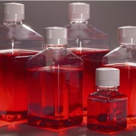 人恶性纤维组织细胞瘤细胞MFH-ino