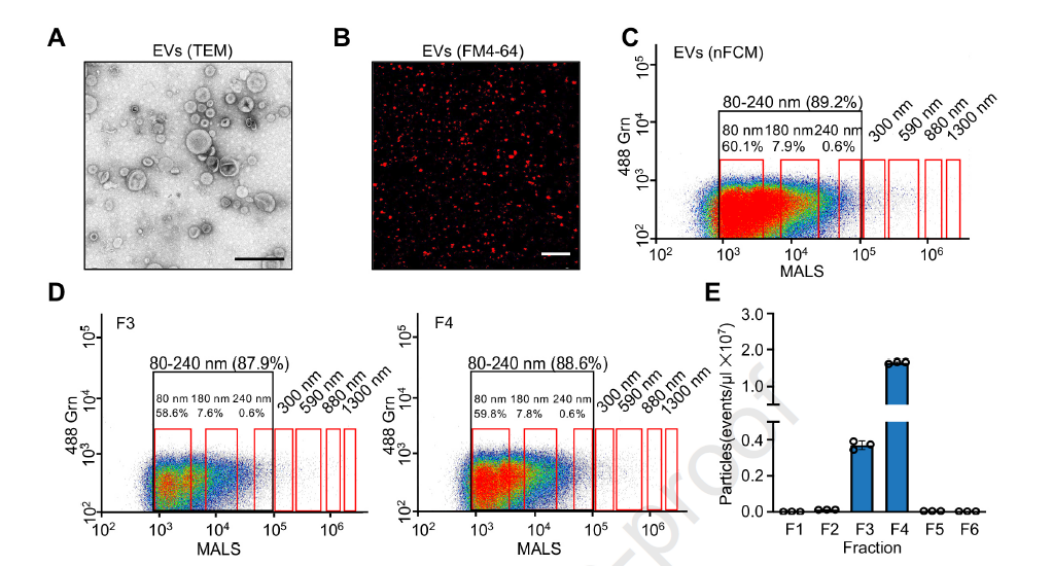 ApogeeFlow纳米流式仪文章分享,武汉大学杂交水稻国家重点实验室，湖北洪山实验室科蔡强教授领导的研团队发表在Molecular Plant上名为Fungal extracellular vesicles mediate cross-kingdom trafficking of virulence effectors into plant cells to promote infection报