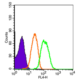 XIAP/BIRC4 Rabbit Polyclonal A