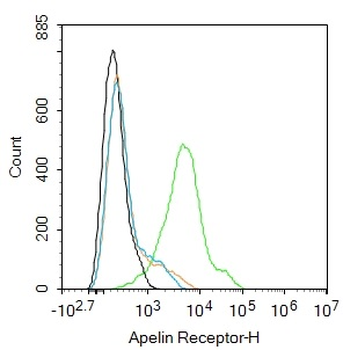 Apelin Receptor Rabbit Polyclo