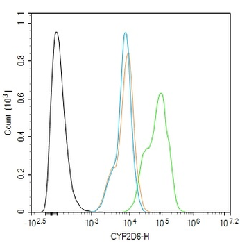 CYP2D6 Rabbit Polyclonal Antib