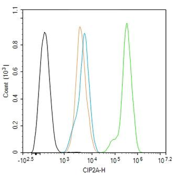 CIP2A/p90 Autoantigen Rabbit P