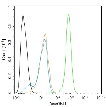Dnmt3b Rabbit Polyclonal Antib