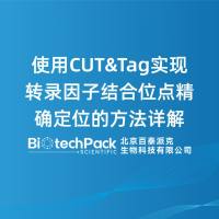 使用CUT&Tag实现转录因子结合位点精确定位的方法详解