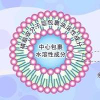 TAT肽修饰的类脂囊泡（Niosomes）增强姜黄素稳定性、细胞摄取与抗肿瘤活性