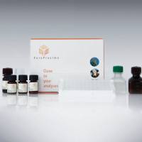 EuroProxima Fluoroquinolones (氟喹诺酮类检测试剂盒)