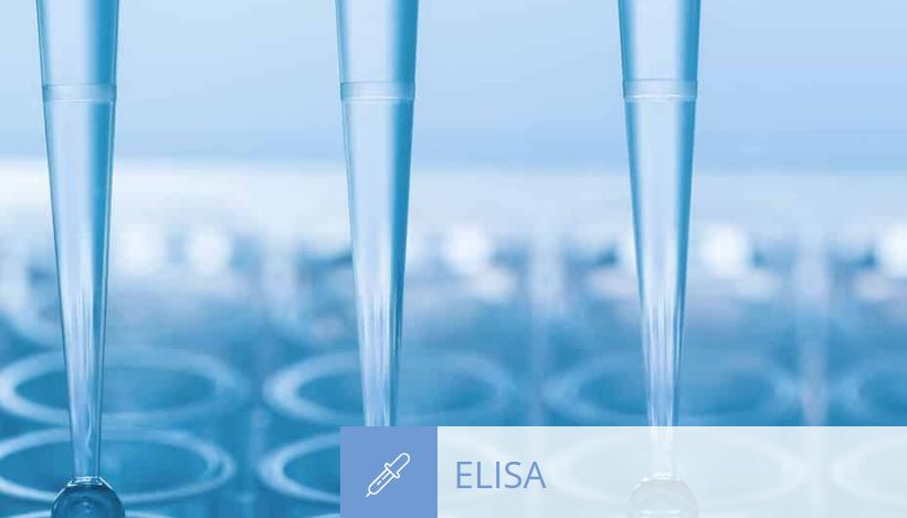 指标检测新突破PROC3