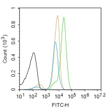 Phospho-Mcl1 (Ser159 + Thr163)