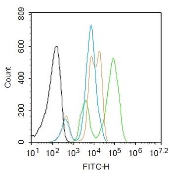 Phospho-H2AX (Ser139) Rabbit P