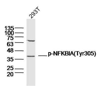 产品细节图片10