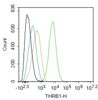 THRB1 Rabbit Polyclonal Antibo