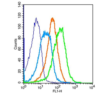 Apelin Receptor Rabbit Polyclo