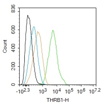 THRB1 Rabbit Polyclonal Antibo
