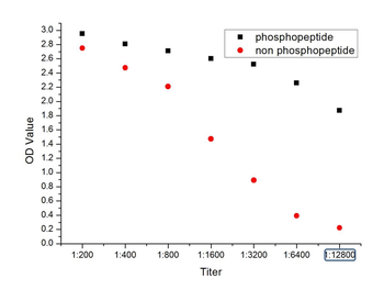 Phospho-PLCG 2 (Tyr1217) Rabbi