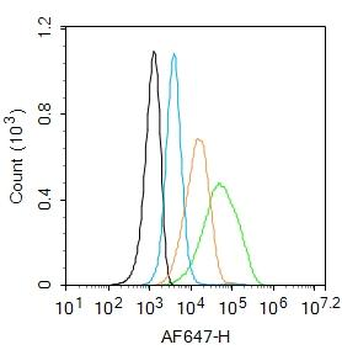 TGF beta Receptor I Rabbit Pol