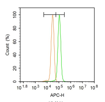 ZNF185 Rabbit Polyclonal Antib