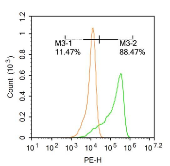 CCL26 Rabbit Polyclonal Antibo