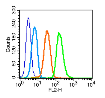 Phospho-c-Kit (Tyr721) Rabbit 