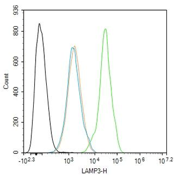 LAMP3 Rabbit Polyclonal Antibo