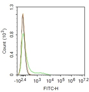 CD11c Rabbit Polyclonal Antibo