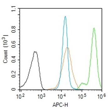 ASF1A Rabbit Polyclonal Antibo