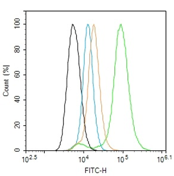 Phospho-Doublecortin (Ser47) R