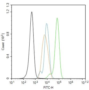 Phospho-Histone H1.4 (Thr18) R