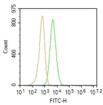 CD45 Rabbit Polyclonal Antibod
