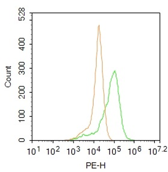 SGPL1 Rabbit Polyclonal Antibo