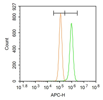 Ferritin Heavy Chain/FTH1 Rabb