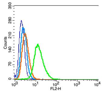 TUBA1C Rabbit Polyclonal Antib