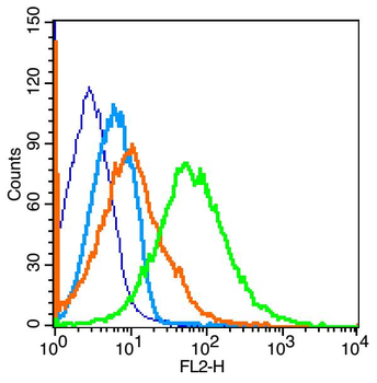 BLNK Rabbit Polyclonal Antibod