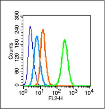 Dnmt3b Rabbit Polyclonal Antib