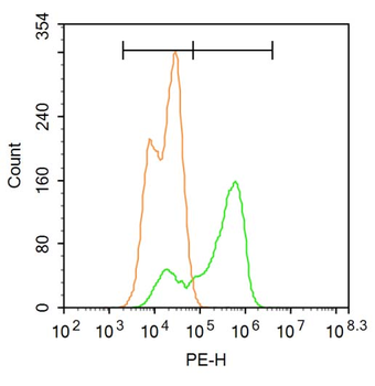 Phospho-DAXX (Ser517) Rabbit P