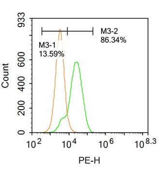 CK10 Rabbit Polyclonal Antibod