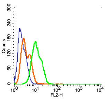 MGLUR3 Rabbit Polyclonal Antib