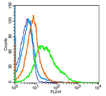 CD62L Rabbit Polyclonal Antibo