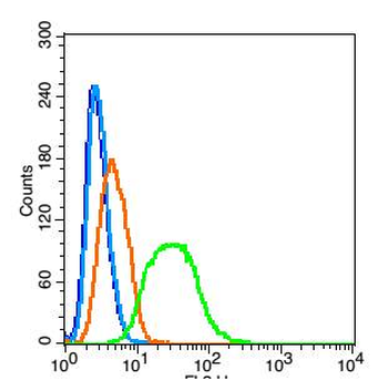Ribonuclease Inhibitor Rabbit 