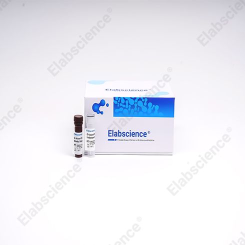 Elabscience 小鼠NK细胞阴性分选试剂盒：95.1% 高纯度！小鼠 NK 细胞分选的科研利器