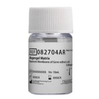 体外血管生成专用基质胶（即用型）