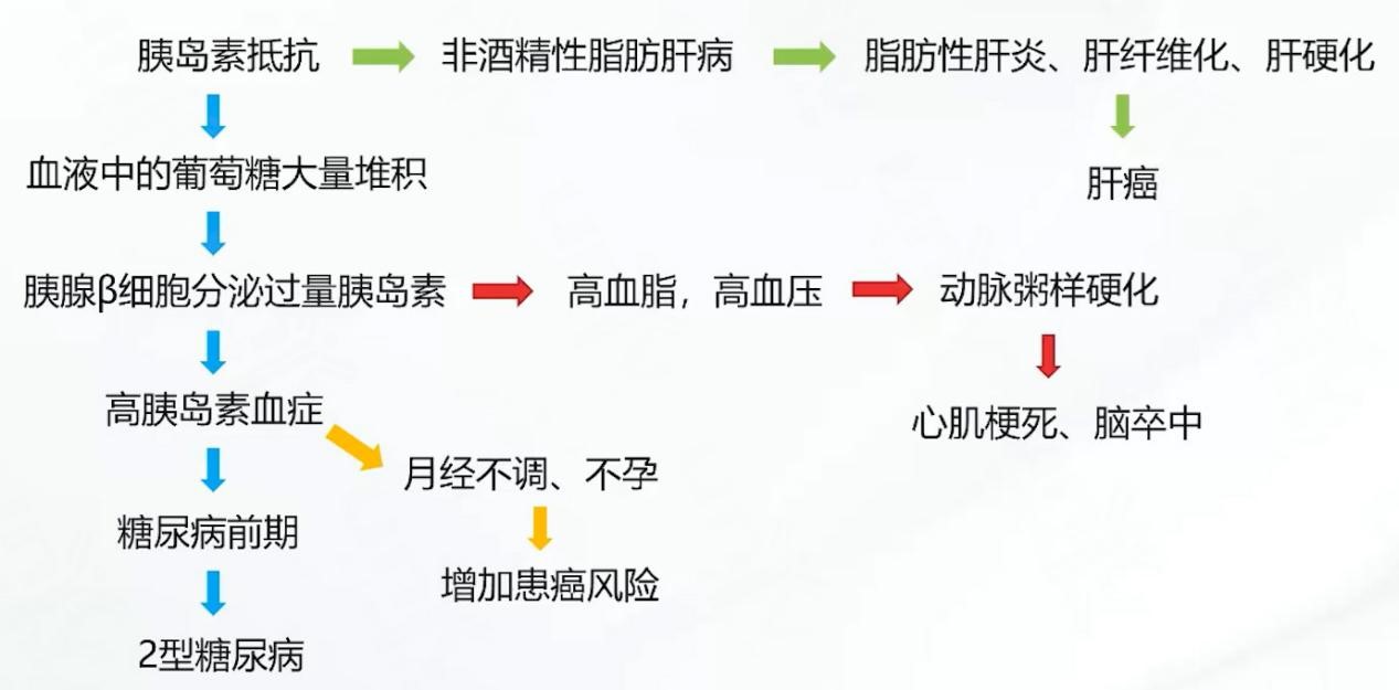 热门代谢疾病研究思路