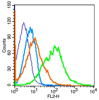 Aldolase A Rabbit Polyclonal A
