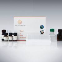 EuroProxima Tylosin (泰乐菌素检测试剂盒)