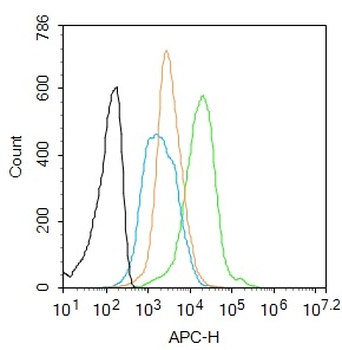 Phospho-PRKCB (Thr642) Rabbit 