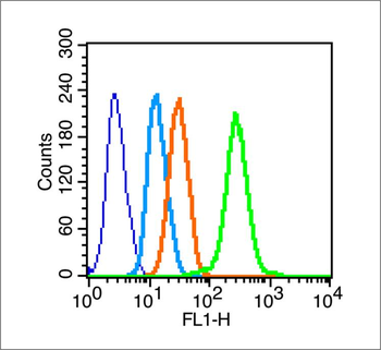 PDGF-B Rabbit Polyclonal Antib