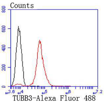 Tubulin beta-III Recombinant R