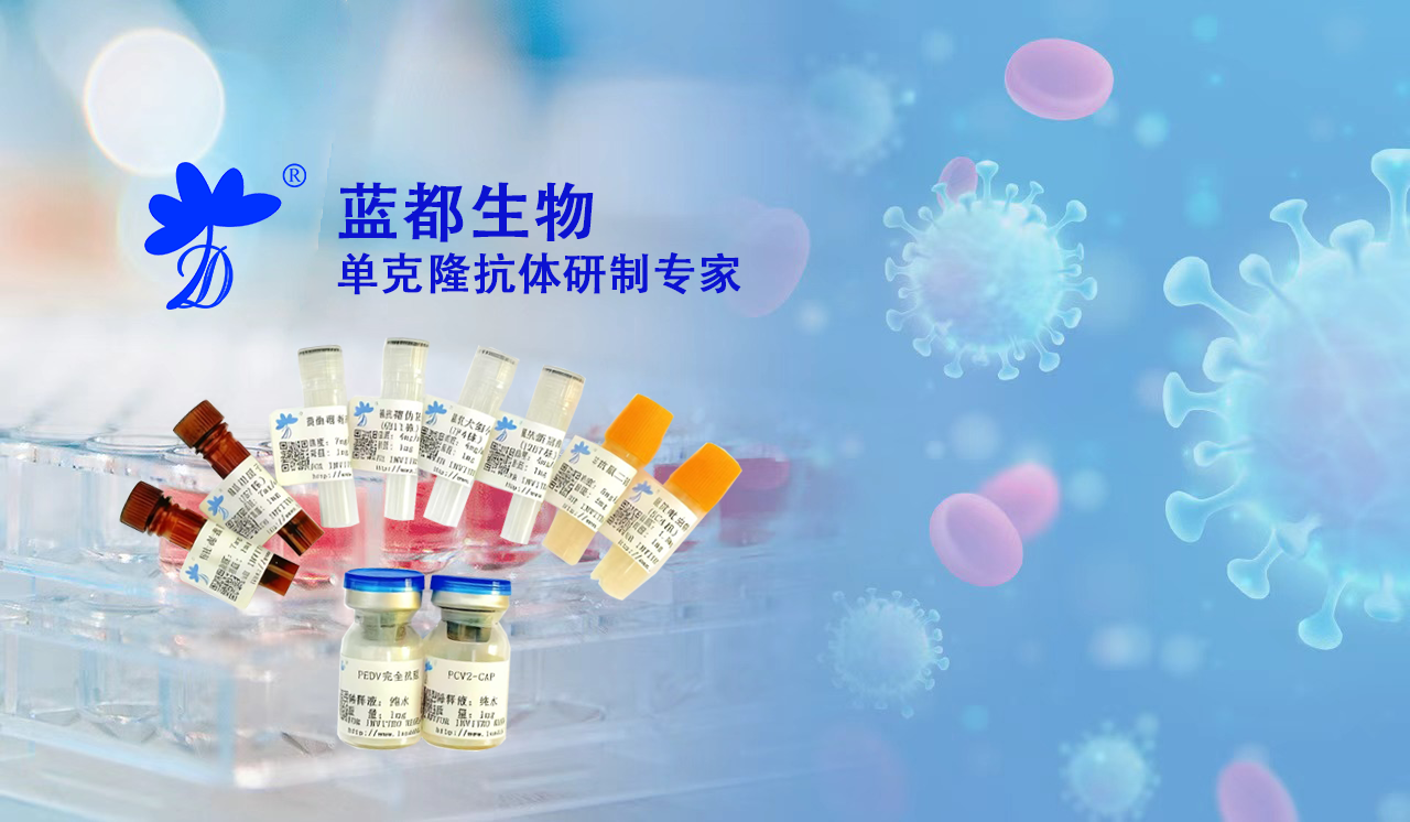 BIOTIN-小鼠抗鸡IgY(IgG)产品图